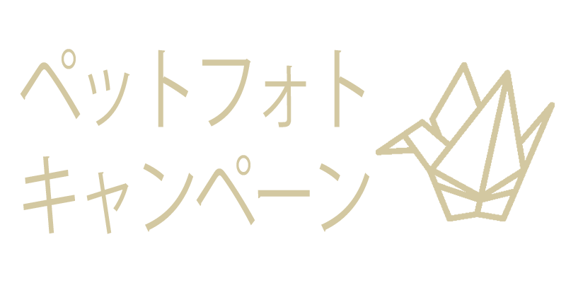 ペットフォトキャンペーン