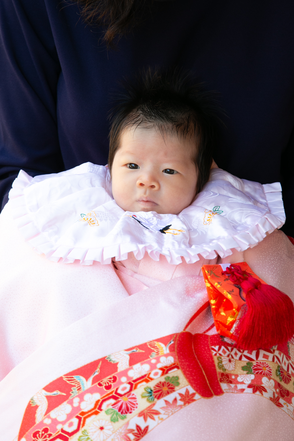 お宮参り出張撮影