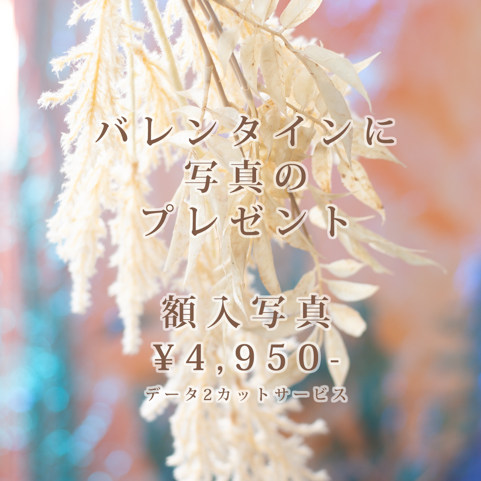 バレンタインに写真を贈ろう