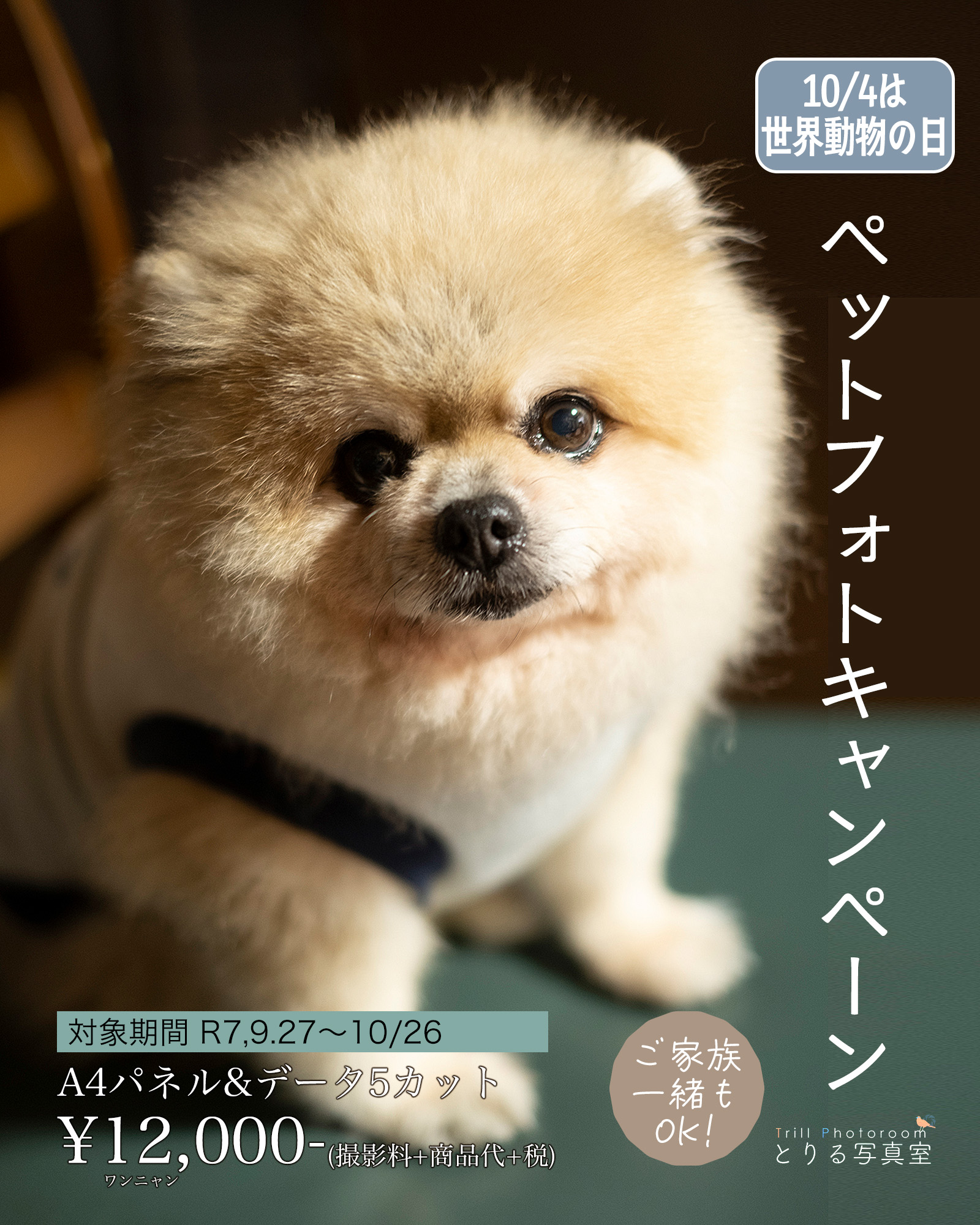 ペットフォトキャンペーン