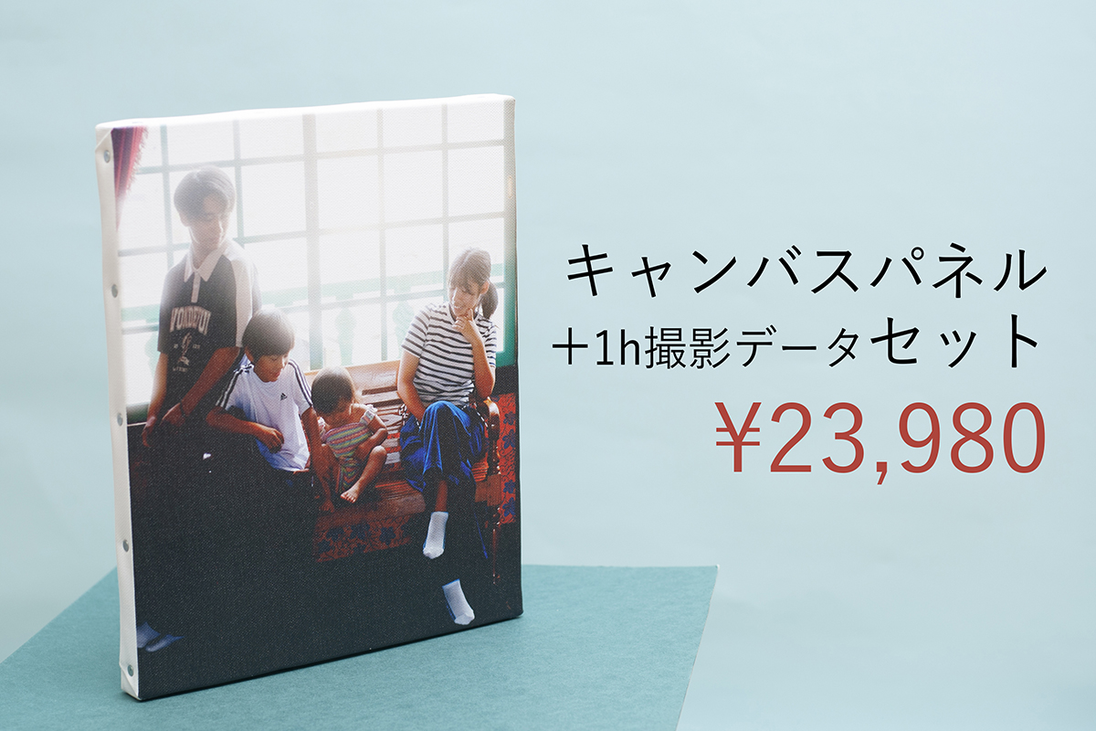 パネルデータセット